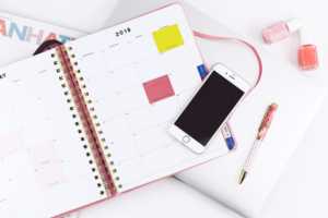 millennial pink calendar bossmode track goals